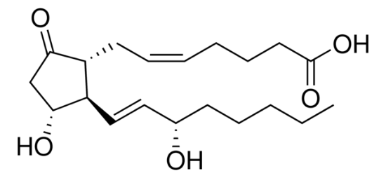 图片 前列腺素E2，Prostaglandin E2 [PGE2]；synthetic, powder, BioReagent, suitable for cell culture, ≥93% (HPLC)