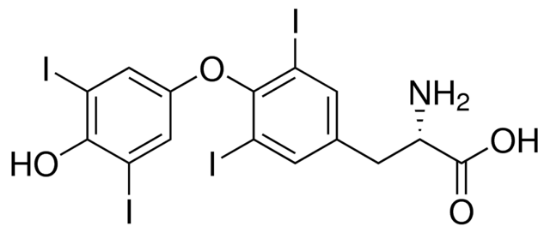 图片 L-甲状腺素，L-Thyroxine [T4]；powder, BioReagent, suitable for cell culture, ≥98% (HPLC)