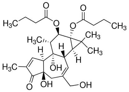 图片 佛波醇12,13-二丁酸酯，Phorbol 12,13-dibutyrate [PDBu]；≥98% (TLC), powder