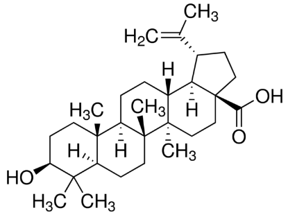 图片 白桦脂酸，Betulinic acid；technical grade, 90%