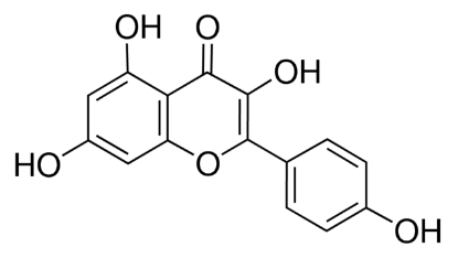 图片 山奈酚 [山柰酚]，Kaempferol；≥90% (HPLC), powder
