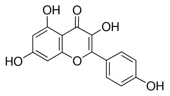 图片 山奈酚 [山柰酚]，Kaempferol；≥90% (HPLC), powder