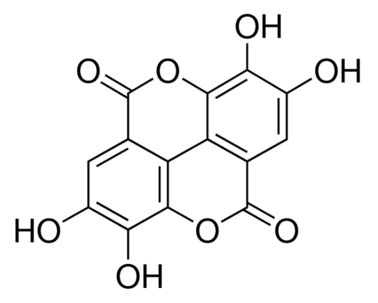 图片 鞣花酸，Ellagic acid；≥95% (HPLC), powder, from tree bark
