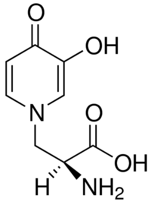 图片 L-含羞草素来源于银合欢种子，L-Mimosine from Koa hoale seeds；≥98%