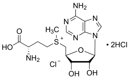图片 S-(5′-腺苷)-L-甲硫氨酸氯化物二盐酸盐，S-(5′-Adenosyl)-L-methionine chloride dihydrochloride [AdoMet, SAM]；≥75%