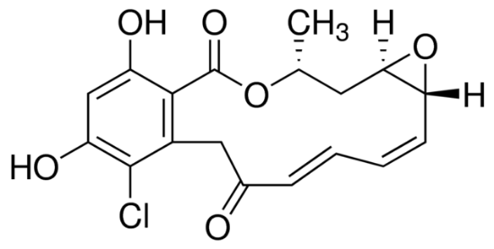 图片 根赤壳霉素来源于衣原体孢子虫，Radicicol from Diheterospora chlamydosporia；≥98%, solid