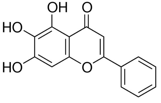 图片 黄芩素，Baicalein；98%