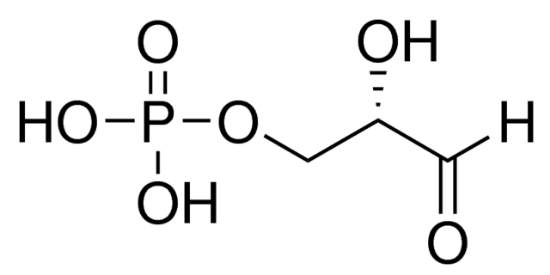 图片 L-甘油醛-3-磷酸酯溶液，L-Glyceraldehyde-3-phosphate solution [L-GAP]；≥95% (TLC), 8-12 mg/mL in H2O (qNMR)