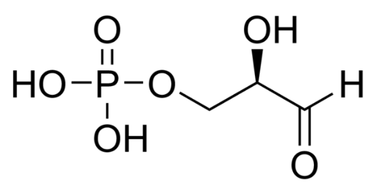 图片 D-甘油醛 3-磷酸溶液，D-Glyceraldehyde 3-phosphate solution [D-GAP]；8-13 mg/mL in H2O