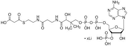 图片 丙二酰辅酶A锂盐，Malonyl coenzyme A lithium salt；≥90% (HPLC)