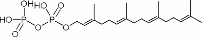 图片 香叶基香叶基焦磷酸铵盐，Geranylgeranyl pyrophosphate ammonium salt [GGPP]；solution, ≥95% (TLC), ~1 mg/mL in methanol: NH4OH (7:3)