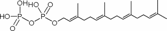 图片 香叶基香叶基焦磷酸铵盐，Geranylgeranyl pyrophosphate ammonium salt [GGPP]；solution, ≥95% (TLC), ~1 mg/mL in methanol: NH4OH (7:3)