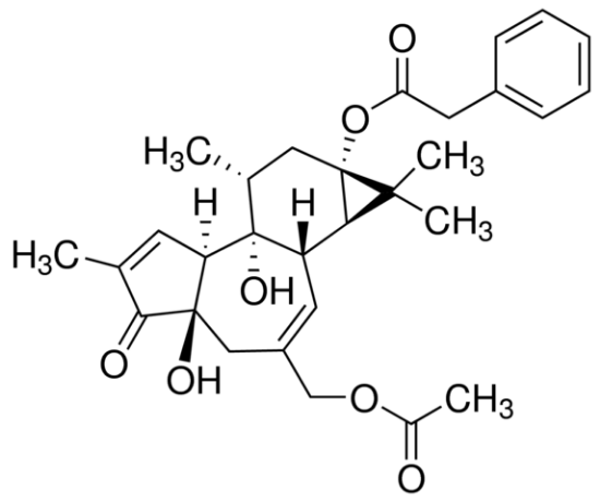 图片 dPPA [DOPPA]，≥98%, HPLC