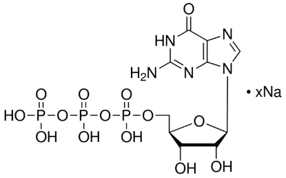 图片 鸟苷5′-三磷酸钠盐水合物，Guanosine 5′-triphosphate sodium salt hydrate [GTP]；≥95% (HPLC), powder