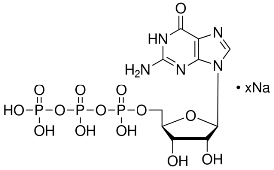 图片 鸟苷5′-三磷酸钠盐水合物，Guanosine 5′-triphosphate sodium salt hydrate [GTP]；≥95% (HPLC), powder