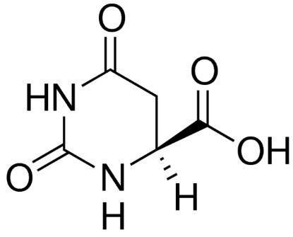 图片 L-二氢乳清酸 [L-氢化乳清酸]，L-Dihydroorotic acid [DHO]；≥99%