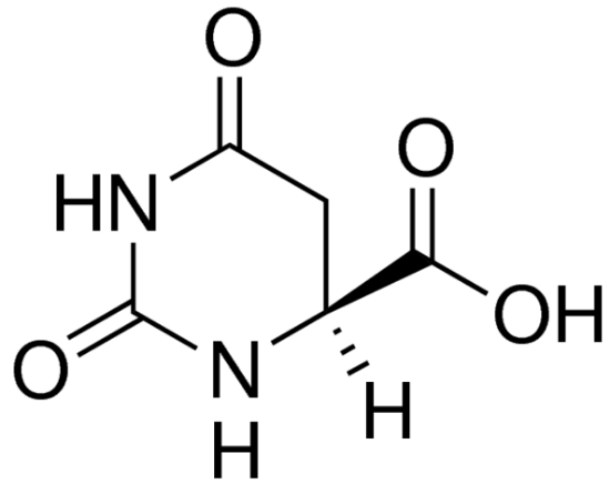 图片 L-二氢乳清酸 [L-氢化乳清酸]，L-Dihydroorotic acid [DHO]；≥99%