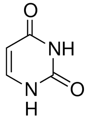 图片 尿嘧啶，Uracil；suitable for cell culture, BioReagent, ≥99%