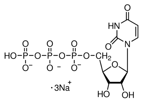 图片 尿苷-5′-三磷酸酯三钠盐水合物，Uridine 5′-triphosphate trisodium salt hydrate [UTP Na3]；Type IV, ≥93.0% (HPLC)