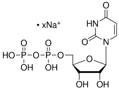 图片 尿苷-5'-二磷酸三氢钠盐来源于酿酒酵母 [UDP钠盐]，Uridine 5′-(trihydrogen diphosphate) sodium salt from Saccharomyces cerevisiae；95.0-100.0%