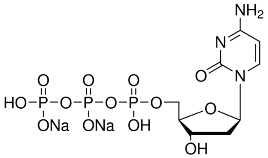 图片 2'-脱氧胞苷5'-三磷酸二钠盐，2′-Deoxycytidine 5′-triphosphate disodium salt [dCTP-Na2]；≥95%