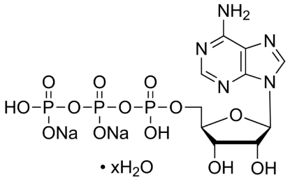 图片 5′-三磷酸腺苷二钠盐水合物 [ATP二钠盐水合物]，Adenosine 5′-triphosphate disodium salt hydrate；BioXtra, ≥99% (HPLC), from microbial