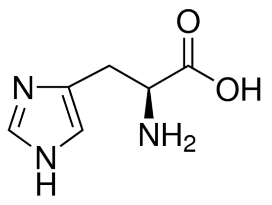 图片 L-组氨酸，L-Histidine；BioUltra, ≥99.5% (NT)