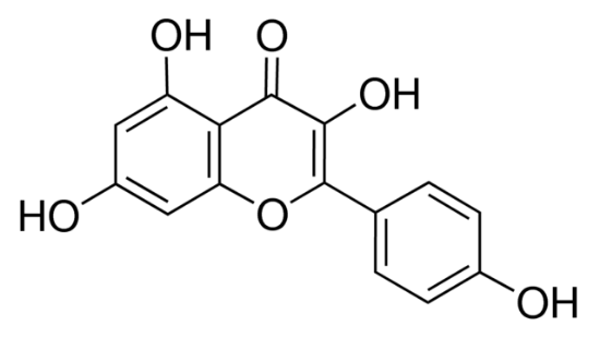 图片 山奈酚 [山柰酚]，Kaempferol；≥97.0% (HPLC)