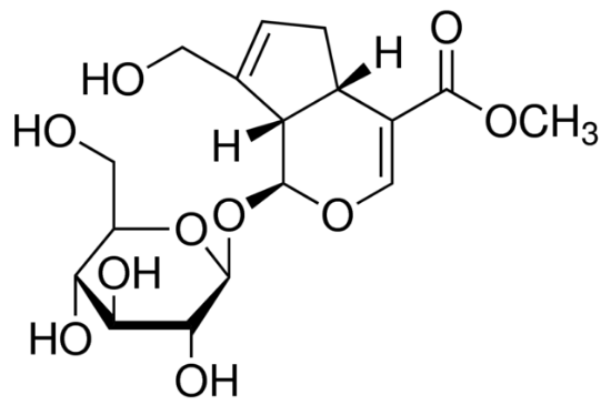图片 栀子苷 [京尼平甙]，Geniposide；phyproof® Reference Substance, ≥98.0% (HPLC)