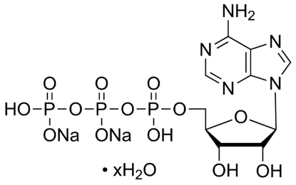 图片 5′-三磷酸腺苷二钠盐水合物 [ATP二钠盐水合物]，Adenosine 5′-triphosphate disodium salt hydrate；Grade II, ≥97% (HPLC), crystalline, from microbial