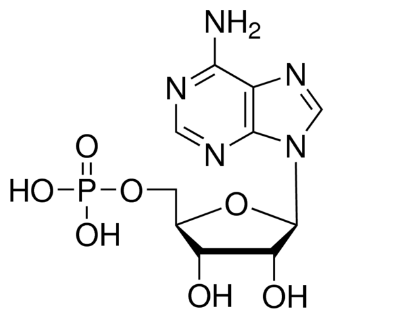 图片 腺苷-5'-单磷酸 [5′-腺苷酸]，Adenosine 5'-monophosphate [AMP]；≥99%