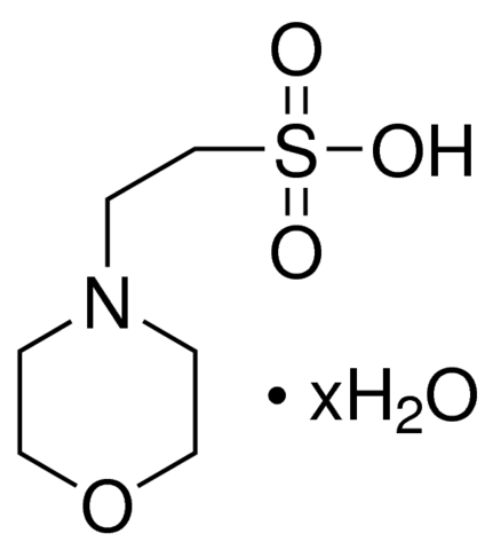 图片 MES水合物，MES hydrate；BioUltra, ≥99.5% (T)