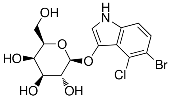 图片 5-溴-4-氯-3-吲哚基-β-吡咯-D-半乳糖苷，5-Bromo-4-chloro-3-indolyl β-D-galactopyranoside [BCIG, X-Gal]；≥98%, powder