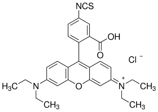 图片 罗丹明B异硫氰酸酯，Rhodamine B isothiocyanate [RBITC, RhBITC]；BioReagent, mixed isomers, suitable for protein labeling