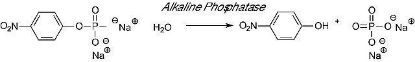 图片 碱性磷酸酶，Phosphatase, Alkaline from Escherichia coli；lyophilized powder, 30-60 units/mg protein (in glycine buffer)