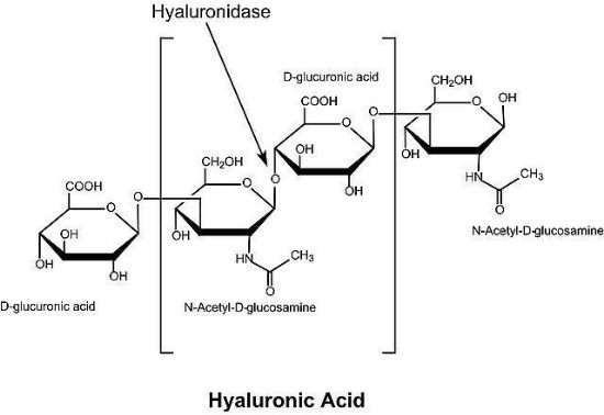 图片 透明质酸酶 [来源于绵羊睾丸]，Hyaluronidase from sheep testes；Type II, lyophilized powder, ≥300 units/mg solid