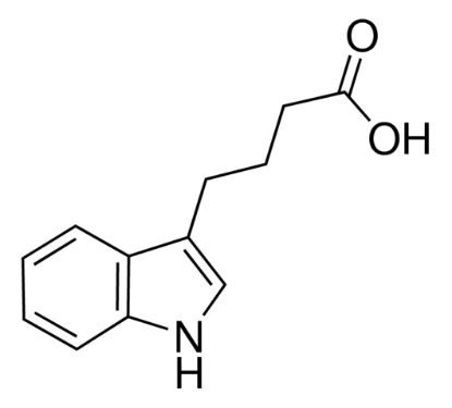 图片 3-吲哚丁酸 [IBA]，Indole-3-butyric acid；≥99.0% (T)