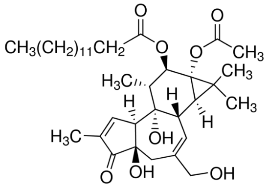图片 佛波醇12-十四酸酯13-乙酸酯，Phorbol 12-myristate 13-acetate [PMA, TPA]；synthetic, ≥98.0% (TLC)