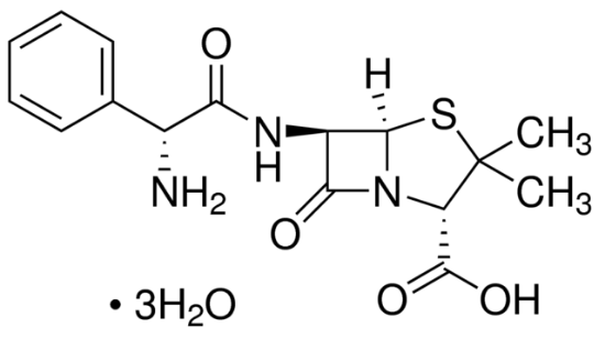 图片 氨苄青霉素 [氨苄西林三水合物]，Ampicillin trihydrate；meets USP testing specifications, 900-1050 μg/mg