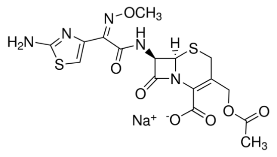 图片 头孢噻肟钠盐 [噻孢霉素]，Cefotaxime sodium salt；≥97% (HPLC), suitable for cell culture, Calbiochem®