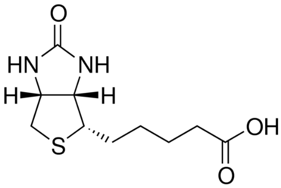 图片 D-生物素 [维生素B7]，D-Biotin；meets USP testing specifications, 97.5-102.0%