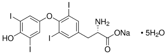 图片 L-甲状腺素钠盐五水合物，L-Thyroxine sodium salt pentahydrate [T4-Na]；≥98% (HPLC), powder