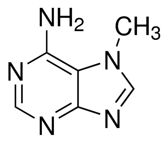 图片 7-甲基腺嘌呤，7-Methyladenine [7-MA]；97%