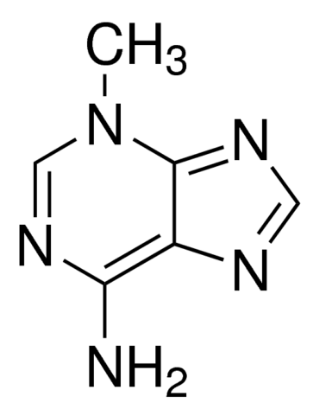 图片 3-甲基腺嘌呤，3-Methyladenine [3-MA]；autophagy inhibitor, ≥99% (HPLC)