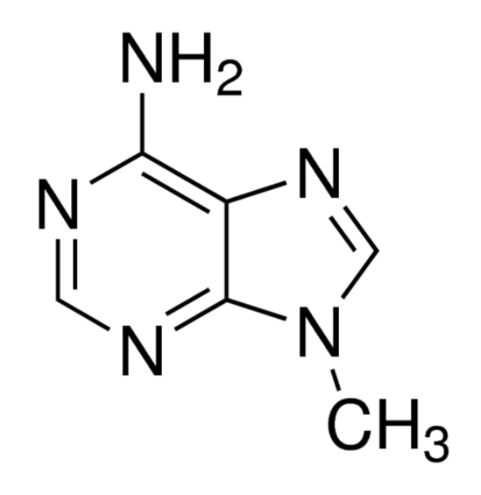 图片 9-甲基腺嘌呤，9-Methyladenine [9-MA]；97%
