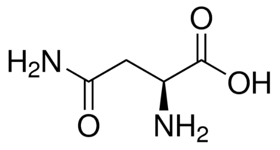 图片 L-天冬酰胺，L-Asparagine；BioReagent, suitable for cell culture, suitable for insect cell culture, ≥98% (HPLC)