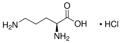 图片 L-鸟氨酸单盐酸盐，L-Ornithine monohydrochloride；99%