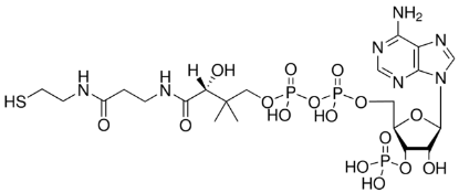 图片 辅酶A水合物，Coenzyme A (free acid) [CoA]；Avanti Polar Lipids, powder