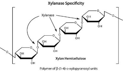 图片 半纤维素酶来源于黑曲霉，Hemicellulase from Aspergillus niger；powder, 0.3-3.0 unit/mg solid (using a β-galactose dehydrogenase system and locust bean gum as substrate)