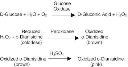 图片 葡萄糖氧化酶来源于黑曲霉，Glucose Oxidase from Aspergillus niger [G.Od., GOx]；Type II, ≥10,000 units/g solid (without added oxygen)